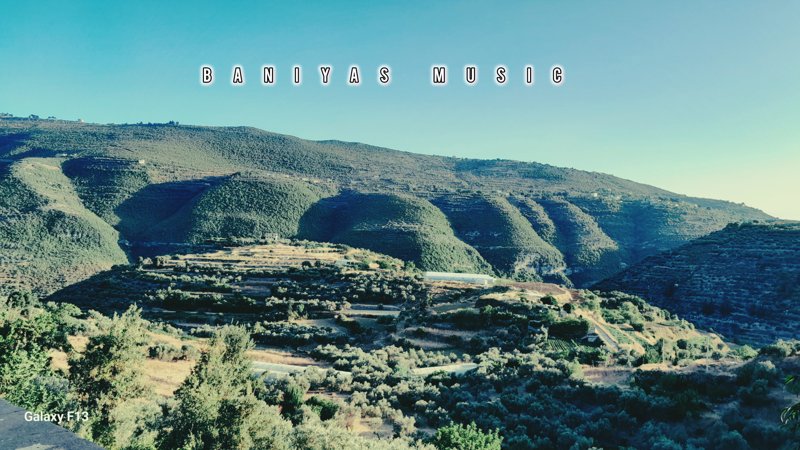 أرض مشجرة زيتون