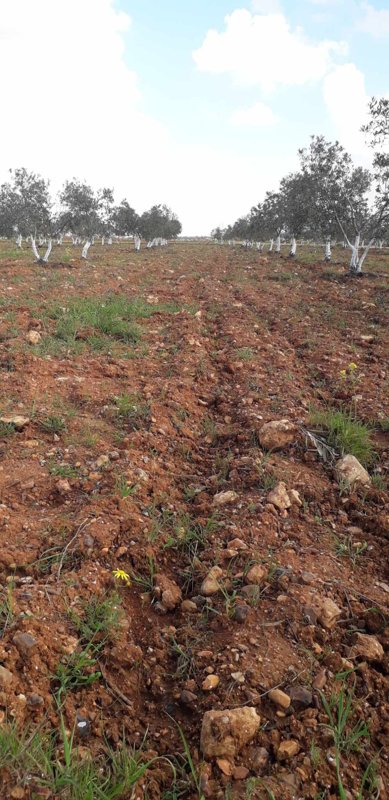 طريق حمص دمشق موقع مميز