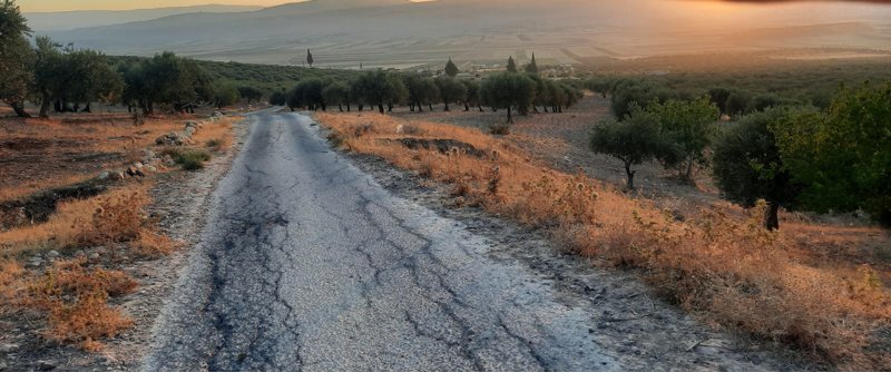 ارض زراعيه زيتون للبيع في ريف ادلب الغربي علي شارع عام 