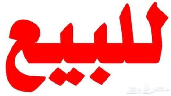 بيت للبيع في دوير الشيخ سعد